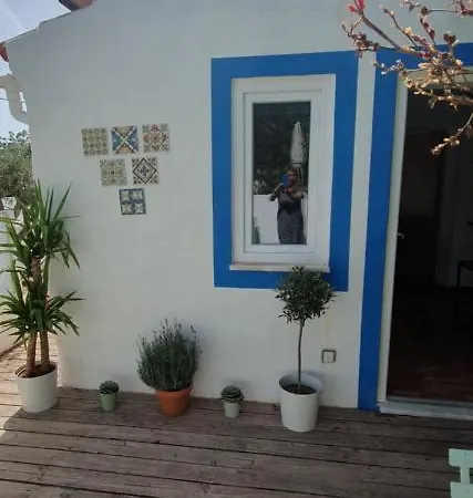 Beautiful House In Stunning Nature, 22 Minutes From Beaches, 5 Minutes To Lake, Air Condition Cool And Heat, And Very Fast Internet In All Rooms, Dishwasher, Washing Machine And Induction Cooking